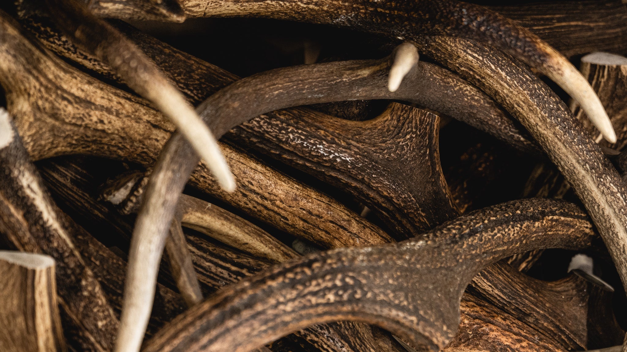 Red Stag: A precious touch for your knife